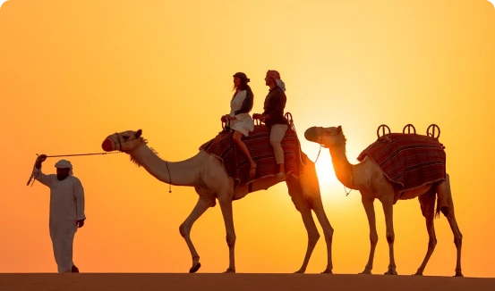 Sunset camel ride