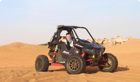 Dune buggy safari