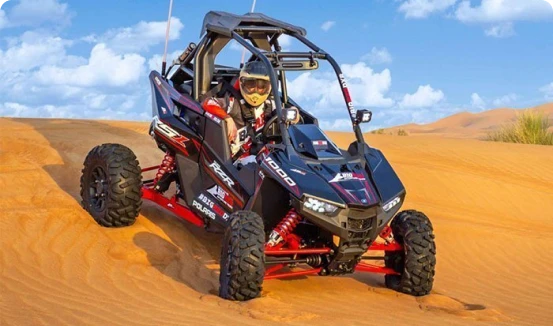 Desert buggy tour